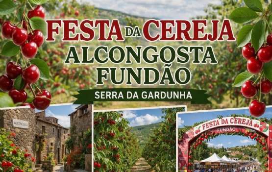 APANHA DA CEREJA NO FUNDÃO - 14 DE JUNHO (VALOR 89€)